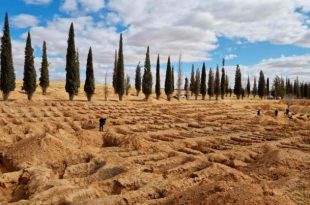 Libya: UN finds new evidence of mass graves