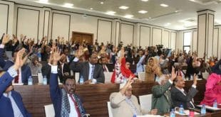 Somalia: parliament has new Speaker