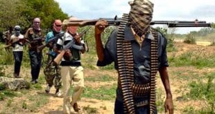 Nigeria: 12 farmers killed in President Buhari's home state