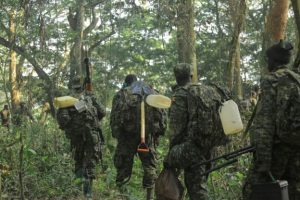 Uganda to withdraw troops from DR Congo