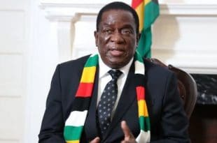 "Mind your own business," Zimbabwean leader told Britain