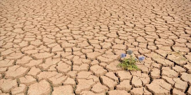 Ethiopia: About 600,000 children out of school due to drought