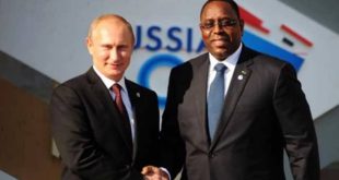 Putin to explain Ukraine grain shortage to Senegal president - Kremlin
