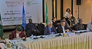 AU suspends participation in UN-led talks on Sudan