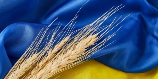 Ukraine 'ready' to resume grain exports to Africa