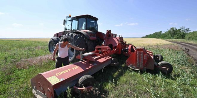 Ukraine lost a quarter of its farmland due to Russian invasion