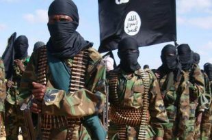 Al-Shabab tax system 'forcing farmers to flee farms'