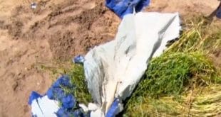 Mozambique: nine suspected cattle thieves buried alive