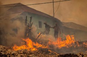 Forest fires in Morocco: heavy toll