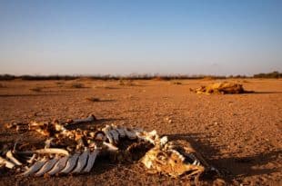 Food stocks run out in Gaza prompting famine warnings