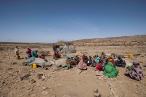 Half of Somalia's population hungry as drought bites