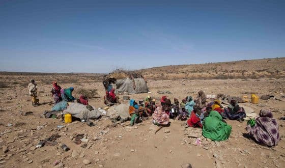 Half of Somalia's population hungry as drought bites