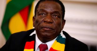 Zimbabwe: Harare concerned about treatment of its citizens in South Africa
