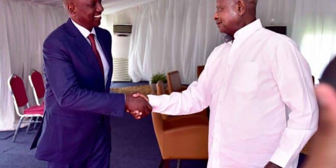 Ugandan President's special message to William Ruto after his election