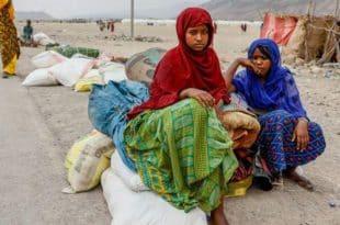 Ethiopia: federal troops and rebels urged to restore truce