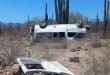 Six dead in suicide attack on school bus