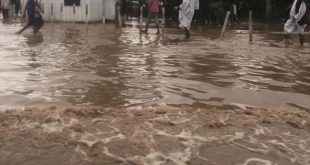Chad: More than 340 000 people affected by flooding