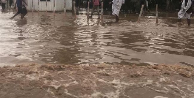 Chad: More than 340 000 people affected by flooding