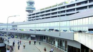 Nigeria: Customs seize donkey penises at Lagos airport