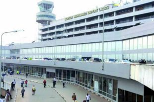 Nigeria: Customs seize donkey penises at Lagos airport