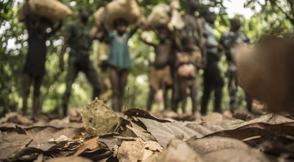 Ghana: children rescued from trafficking to Ivory Coast
