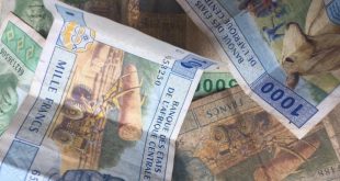 Central Africa: CEMAC begins CFA franc reform