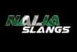 Some popular street slangs in Nigeria
