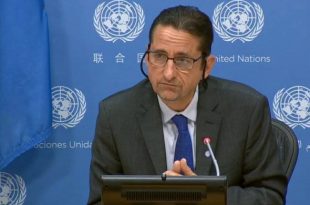 "One in four Congolese lives in food insecurity" - UN representative