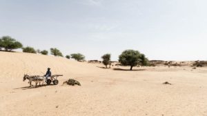 Sahel suffers from effects of climate change and poverty