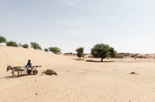 Sahel suffers from effects of climate change and poverty