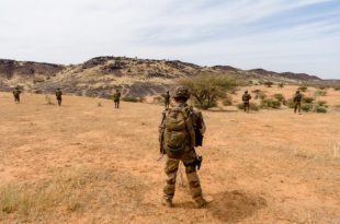 "Hundreds of civilians killed in 3 months in Mali" - UN report