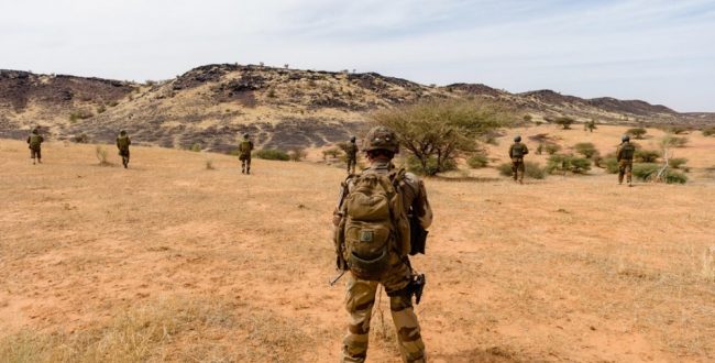 "Hundreds of civilians killed in 3 months in Mali" - UN report