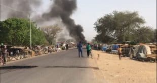 AU official reacts after police brutality against protesters in Chad