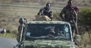 Tigray rebels urge global push for Ethiopia ceasefire