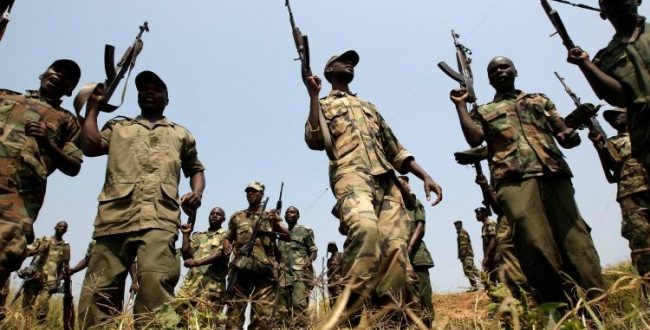 DR Congo: new clash between defense forces and M23 rebels