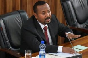 Peace talks begin between Ethiopian officials and rebel leaders