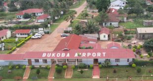 Tanzania: flights resume in Bukoba airport after deadly crash