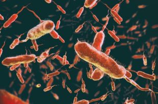 Cholera already killed nearly 200 people in Malawi