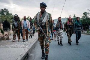 Ethiopia allies to leave Tigray 'after rebels disarm'