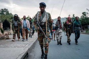 Ethiopia allies to leave Tigray 'after rebels disarm'