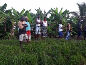 Ghana: woman found dead in her farm