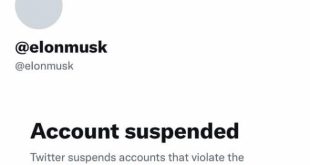 Twitter announces reinstatement of suspended accounts