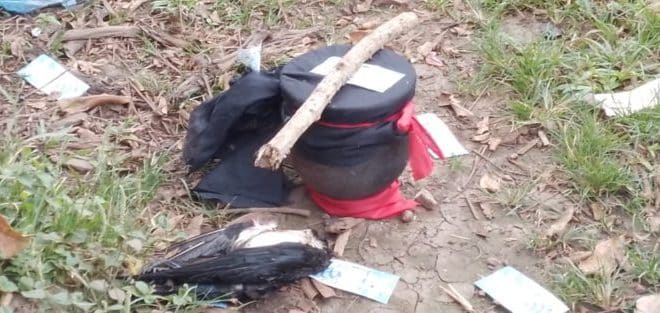 Pot with snake and headless vulture discovered in market