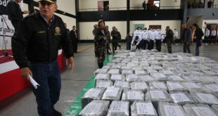 Quantities of cocaine discovered during Halloween