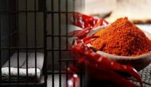 Prisoners escape in Ethiopia after immobilizing guards with chilli
