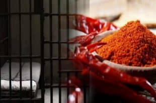 Prisoners escape in Ethiopia after immobilizing guards with chilli
