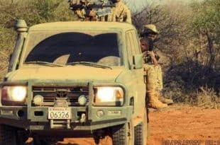 Somali forces killed top al-Shabab commanders