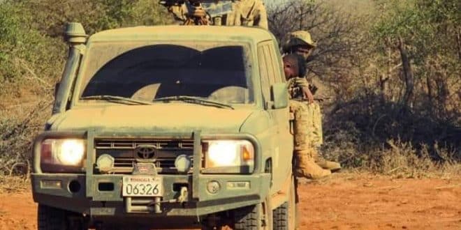 Somali forces killed top al-Shabab commanders