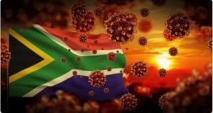 South Africa: scientists to meet over new Covid variant