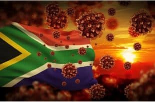 South Africa: scientists to meet over new Covid variant